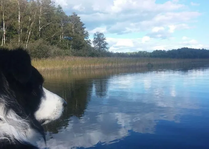 Zum Alten Dorfkrug דירה Schlemmin